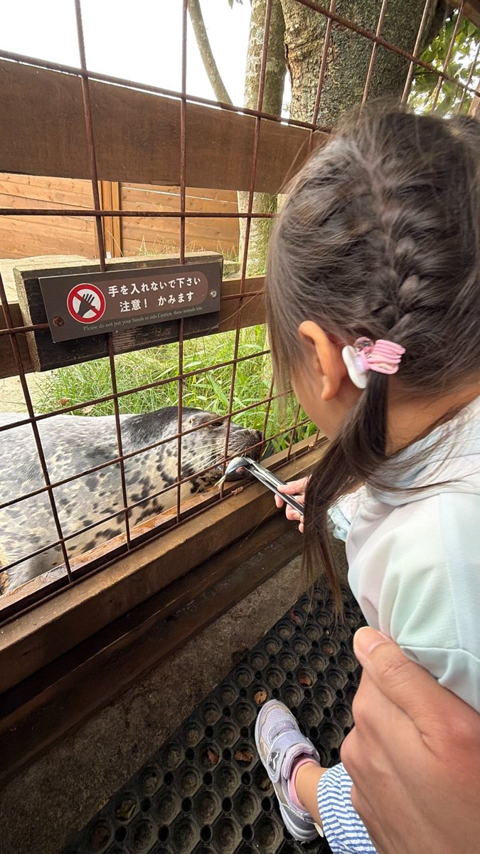 ゴマフアザラシにトングで魚をあげる子供