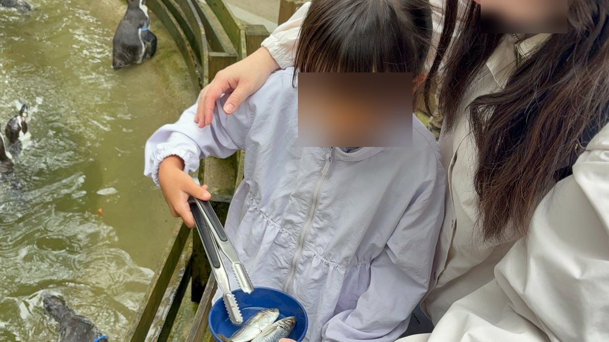 ペンギンへの餌やりでトングと魚の器を持つ子供