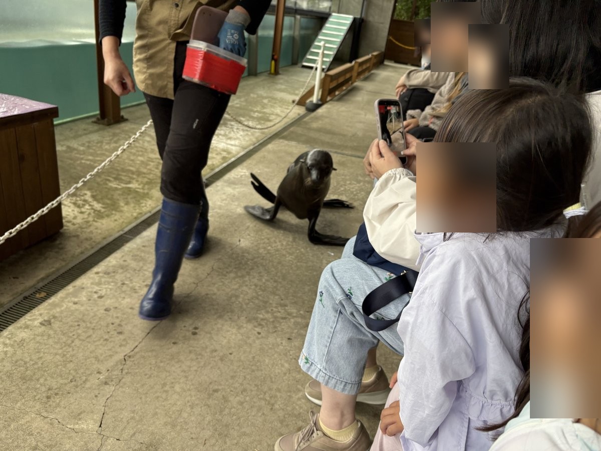 観覧席の近くに来たオットセイを見る子供たち