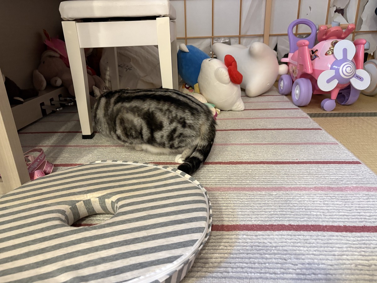 逃げる猫