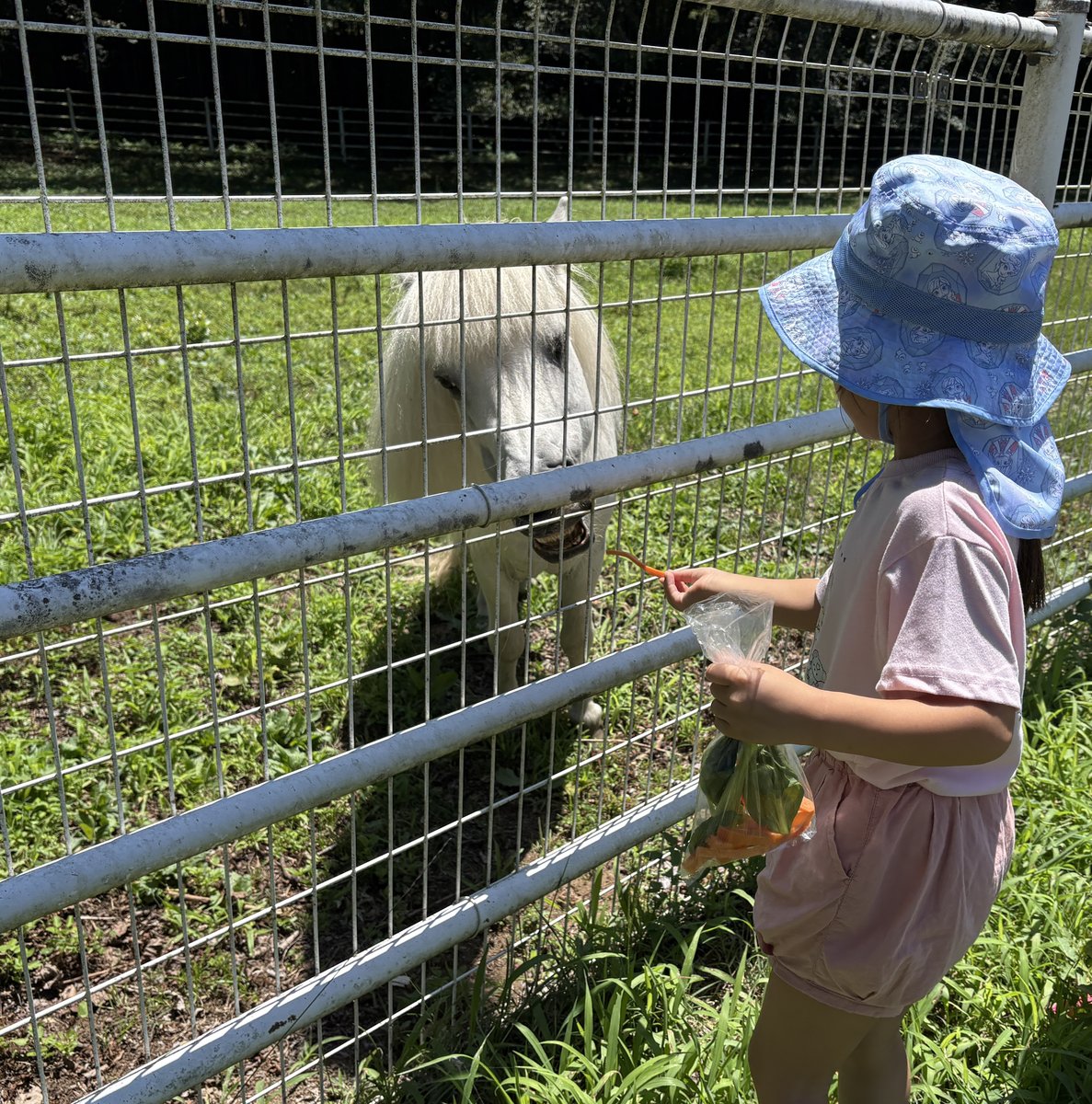 ポニーへニンジンを渡す上の子