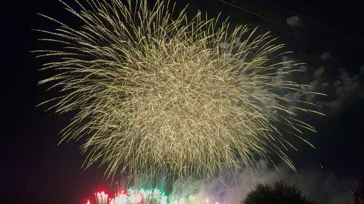 夜空に大きく広がる金色の花火