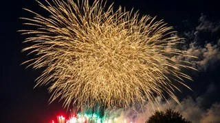 夜空いっぱいに広がる金色の花火のイメージ