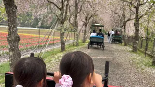 山梨旅行2日目：水族館・花の都公園・道の駅をのんびり巡った話【幼児連れにおすすめ】